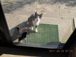 DSCN4666.JPG
