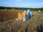 DSCN4733.JPG