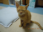 DSCN4746.JPG