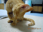 DSCN4748.JPG