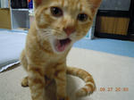 DSCN4749.JPG