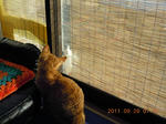 DSCN4767.JPG