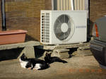 DSCN4768.JPG