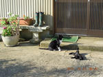 DSCN4800.JPG