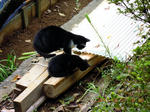DSCN4821.JPG