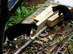 DSCN4822.JPG