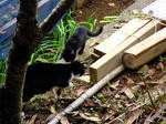 DSCN4823.JPG