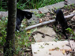DSCN4828.JPG