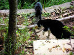 DSCN4829.JPG