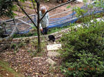 DSCN4832.JPG