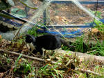 DSCN4833.JPG