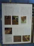 DSCN4876.JPG