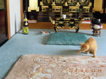 DSCN4839.JPG