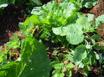 DSCN4912.JPG