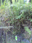 20111004151900001.jpg