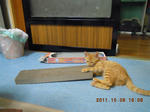 DSCN4940.JPG