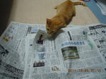 DSCN4923.JPG