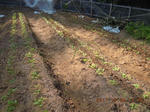 DSCN4972.JPG