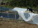 DSCN4977.JPG