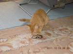 DSCN4978.JPG