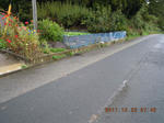 DSCN5064.JPG