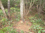 DSCN5093_01.JPG