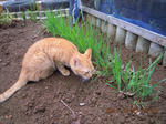 DSCN5103.JPG