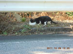 DSCN5160.JPG