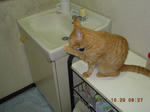 DSCN5157.JPG