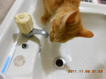 DSCN5247.JPG