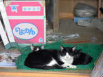 DSCN4332.JPG