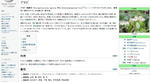 2011-11-14_202341.jpg