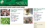2011-11-14_200730.jpg