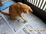 DSCN5263.JPG