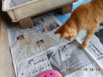 DSCN5267.JPG