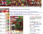 2011-11-25_094630.jpg