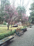 20120225-023.jpg