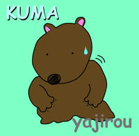 kuma.jpg