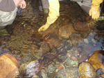 20081025_43.JPG