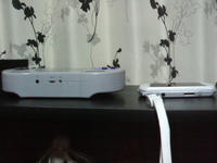 P1000111.JPG