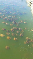 03e88531.jpg