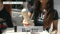 5d2c8125.jpg