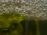 P1010002.JPG