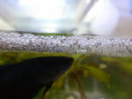 P1010004.JPG