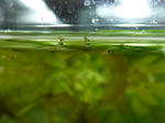 P1010031.JPG