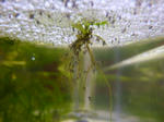 P1010015.JPG