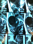 K3100027.JPG