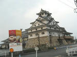 080326bgf.JPG