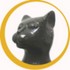 オガワ君