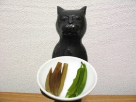 茶色とミドリ色